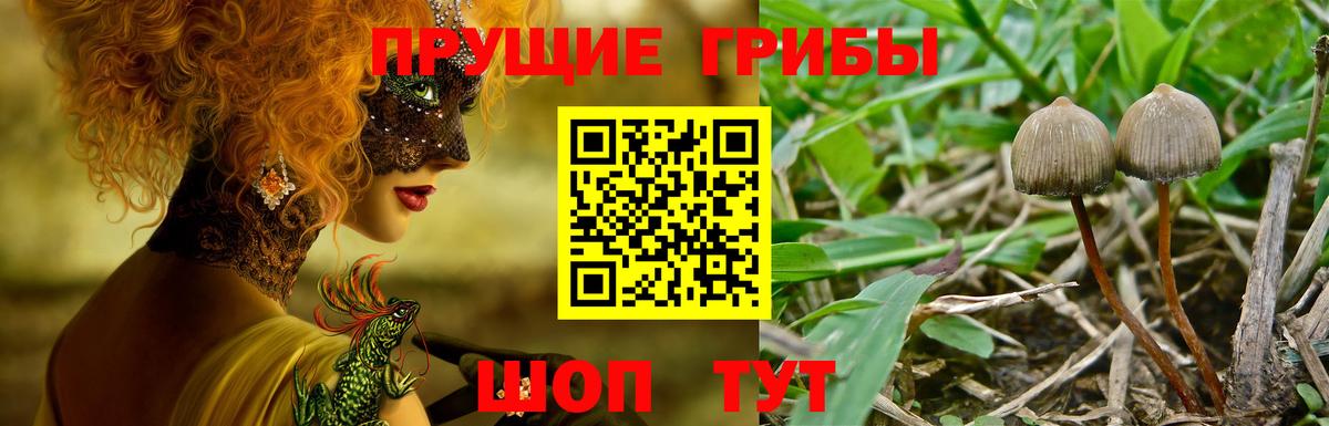 Псилоцибиновые грибы мухоморы Асино