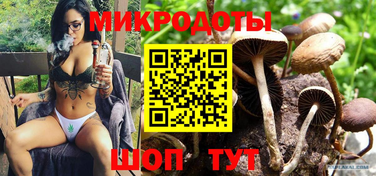 Асино  купить наркотики цена  Вход с VPN  Галлюциногенные грибы Psilocybe  Псилоцибиновые грибы мухоморы 